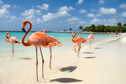 Aruba, île des Antilles néerlandaises, tour du monde royal